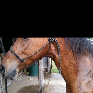 Meet your Posher, Bria